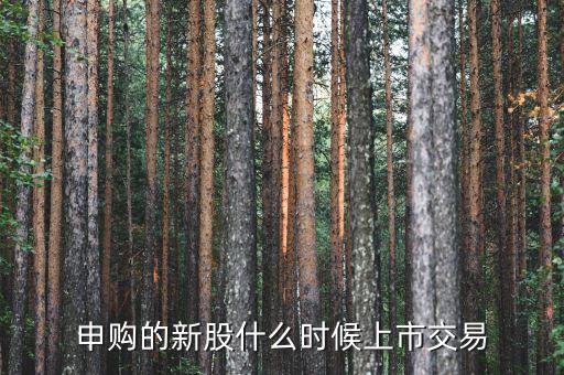 一般新股價(jià)什么時(shí)候出來，申購(gòu)的新股什么時(shí)候上市交易