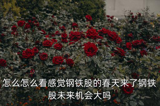 包鋼集團(tuán)是什么性質(zhì)，中國(guó)包頭大企業(yè)都有哪些什么性質(zhì)