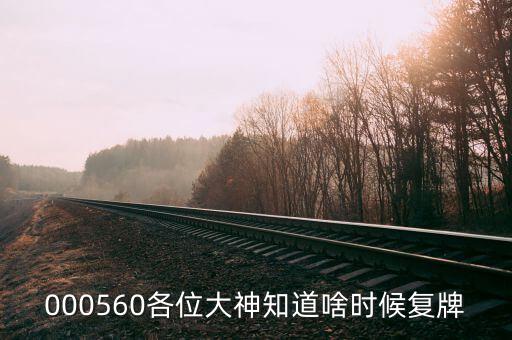 荃銀高科什么時候復(fù)牌，000560各位大神知道啥時候復(fù)牌