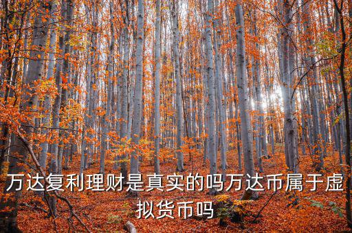 萬達貨幣是什么，萬達復(fù)利理財是真實的嗎萬達幣屬于虛擬貨幣嗎