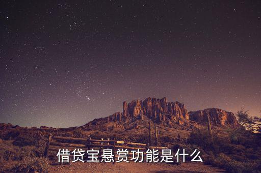 借貸寶追賞是什么意思，追賞是什么意思