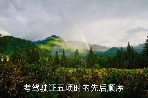 學駕駛五項進度什么安排的，考駕駛證五項時的先后順序