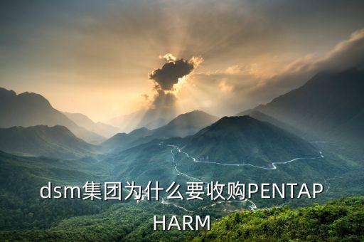 喜游國際被什么公司并購，DSM據(jù)說收購了一個(gè)特牛的公司是什么大家有知道的嗎