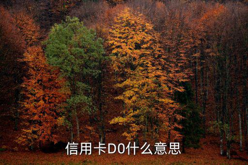 預付卡的贖回是什么意思，信用卡D0什么意思