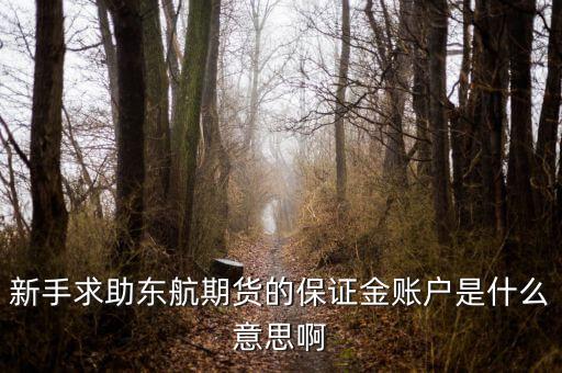 金保證財(cái)富管理和東航什么關(guān)系，國(guó)鼎旗下的可溯貸資金安全嗎