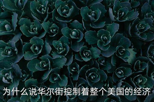 美國(guó)為什么離不開(kāi)華爾街，為什么說(shuō)華爾街控制著整個(gè)美國(guó)的經(jīng)濟(jì)