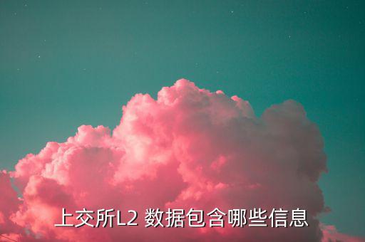 股票l2什么意思，股票標(biāo)示 融 深股通 L1是什么意思
