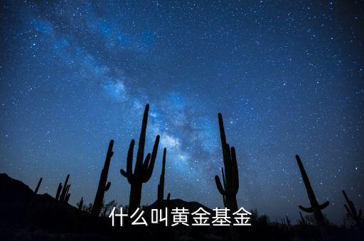 基金類型黃金型是什么意思，基金類型是黃金型所謂的黃金型是什么意思