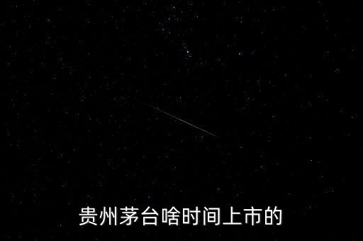 貴州茅臺什么時候上市，貴州茅臺啥時間上市的