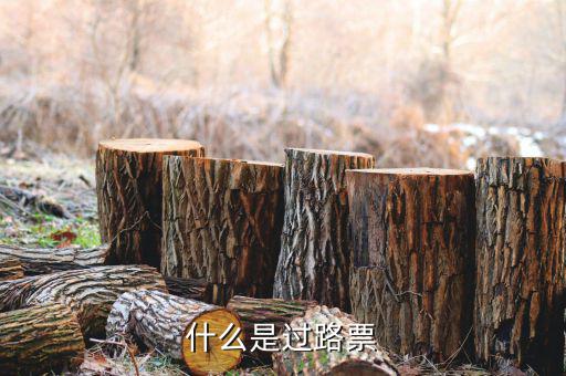 什么是過票行為，使用較消過的發(fā)票是什么行為