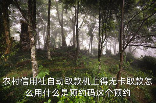 農(nóng)行預(yù)約碼是什么，農(nóng)商銀行預(yù)約取款預(yù)約碼是什么