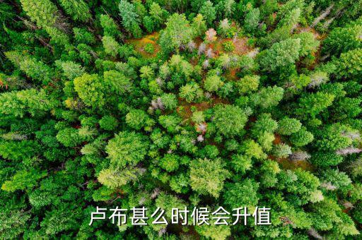 盧布什么時候升值，盧布甚么時候會升值