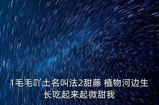 安徽有個(gè)什么林紙業(yè)，坐幾路公交車(chē)去安徽華泰林漿紙有限公司