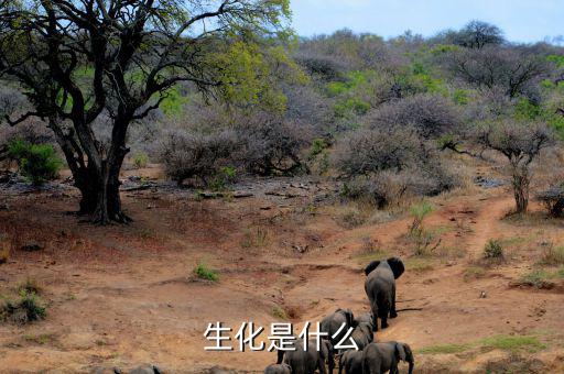 長(zhǎng)安生化是什么呢，生化是指什么呀