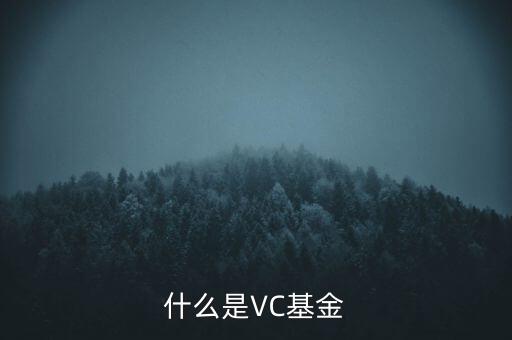vc基金是什么，什么叫VC基金
