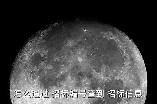 怎么通過(guò) 招標(biāo)編號(hào)查到 招標(biāo)信息