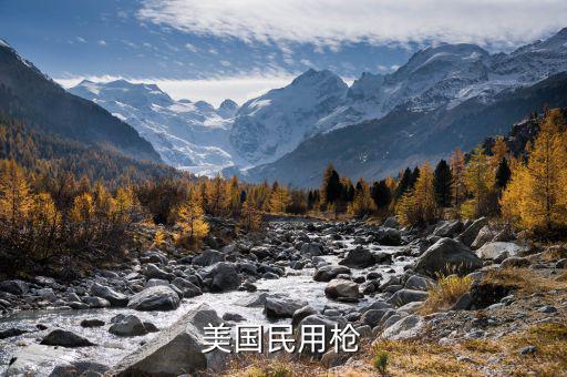 美國1994年禁什么槍，美國民用槍