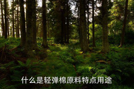 清彈棉是什么意思，彈棉花是什么意思
