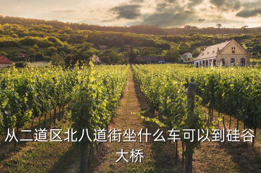 硅谷有什么橋，長春西安大路要去硅谷大橋要坐的公交車