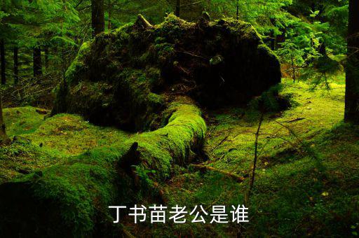 丁書苗和劉志軍什么關(guān)系，丁羽心和劉志軍認(rèn)識10年 花多少錢都不吝嗇