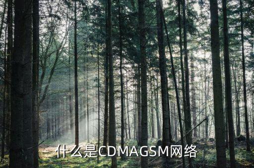 電信cdma是什么網絡，cdma是什么網絡