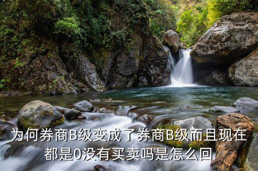 券商B級(jí)為什么賣不掉，證券b級(jí)怎么沒有交易