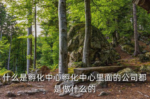 信隆實(shí)業(yè)是做什么的，什么是孵化中心孵化中心里面的公司都是做什么的