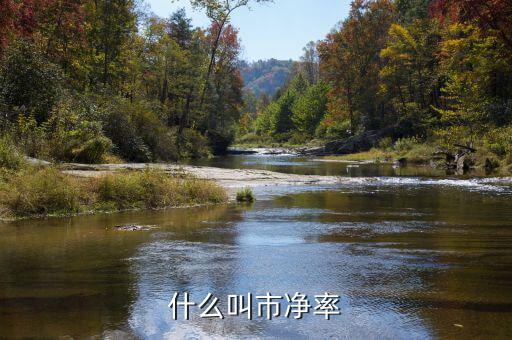 市凈率代表什么，市凈率代表什么