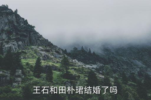 田樸B和王石什么時(shí)候認(rèn)識的，田樸珺是如何俘獲王石的我看她并不十分漂亮啊