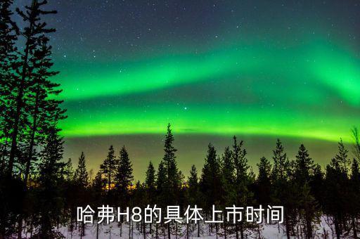 h8什么時(shí)候上市，長(zhǎng)城哈佛H8什么時(shí)間上市