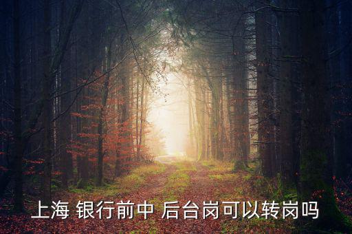 銀行前臺怎么轉(zhuǎn)后臺,銀行分為中央銀行和政策銀行、商業(yè)銀行等