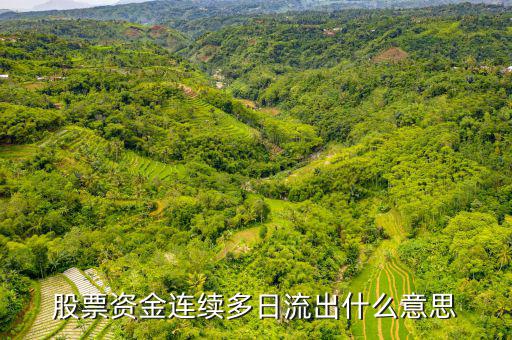 為什么一支股票連續(xù)幾月大單流出，股票資金連續(xù)多日流出什么意思