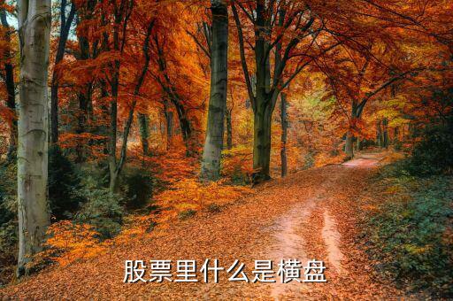橫盤調(diào)整什么意思，股民們說的建倉橫盤是什么意思