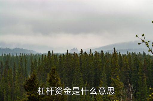 資金杠桿是什么意思，投資里面的杠桿是什么意思