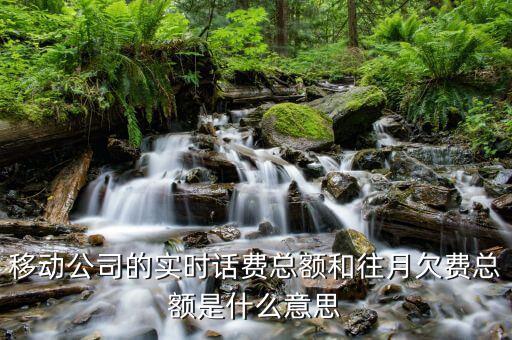 移動賬單總額什么意思，移動公司的帳單總額與實(shí)時話費(fèi)區(qū)別