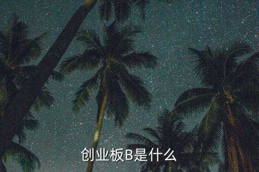 創(chuàng)業(yè)板b杠桿是什么，創(chuàng)業(yè)板B是什么