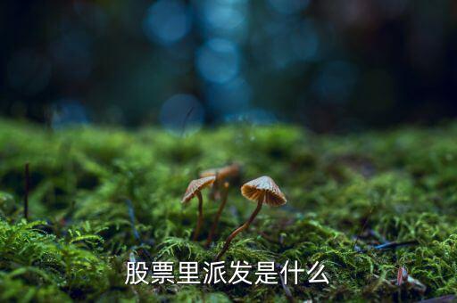什么是股票派發(fā)，股票什么叫派發(fā)