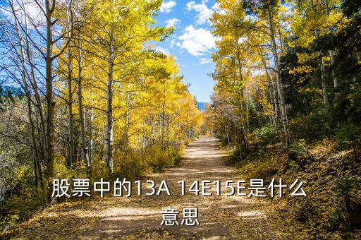 市盈率13a什么意思，財(cái)務(wù)報(bào)表中13A 14E 是什么意思