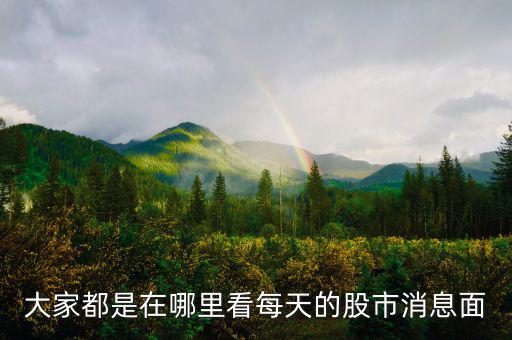 每天的股票信息看什么網(wǎng)站，大家都是在哪里看每天的股市消息面