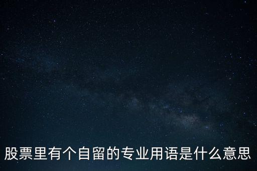 股票里有個(gè)自留的專業(yè)用語是什么意思
