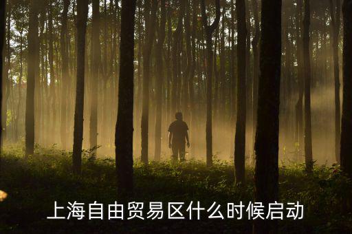 上海自貿(mào)區(qū)什么時候開放，上海自由貿(mào)易區(qū)什么時候啟動