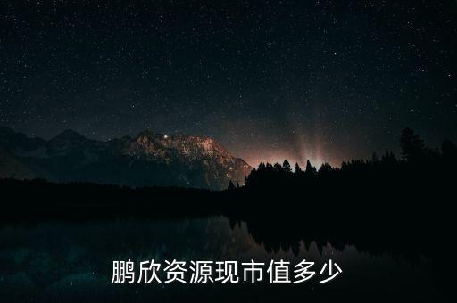 鵬欣資源是什么公司，鵬欣資源現市值多少