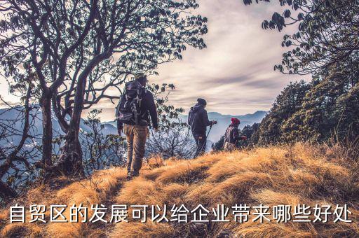 自貿區(qū)的發(fā)展可以給企業(yè)帶來哪些好處