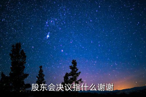 什么是股東會(huì)決議，有限責(zé)任公司決議叫股東會(huì)會(huì)決議那么國(guó)有企業(yè)決議應(yīng)該叫什