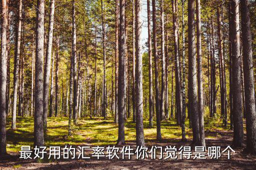 外匯用什么軟件，什么外匯交易軟件最好