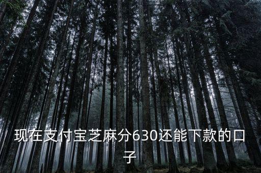 支付寶口子是什么意思，支付寶口子是什么意思
