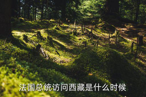 默克爾什么時間訪華，法國總統(tǒng)訪問西藏是什么時候
