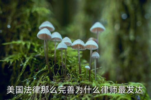 為什么美國(guó)賠償那么高，美國(guó)人為什么那么高