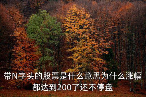 n派思是什么股票，帶N字頭的股票是什么意思為什么漲幅都達到200了還不停盤