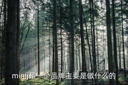 曹山石是干什么的，minij是一個(gè)品牌主要是做什么的